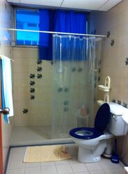 Bukit Timah Plaza / Sherwood Towers (D21), Apartment #457294081